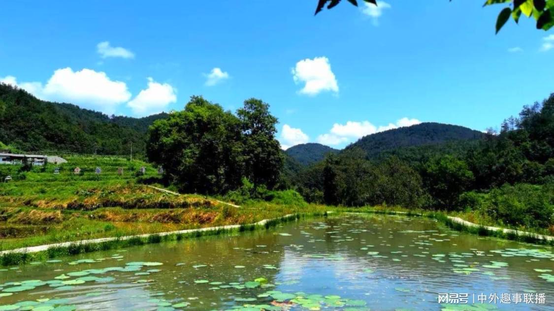 近日智能推广专业化打造您的直播商城,流量获取新选择日本女乒主帅说要在世乒赛击败中国