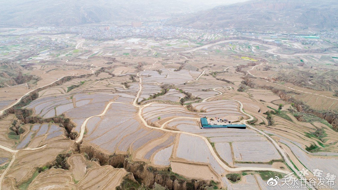 自助下单免费分站抖音：省钱攻略轻松下单抖音分站优惠_小红书曝光在线下单