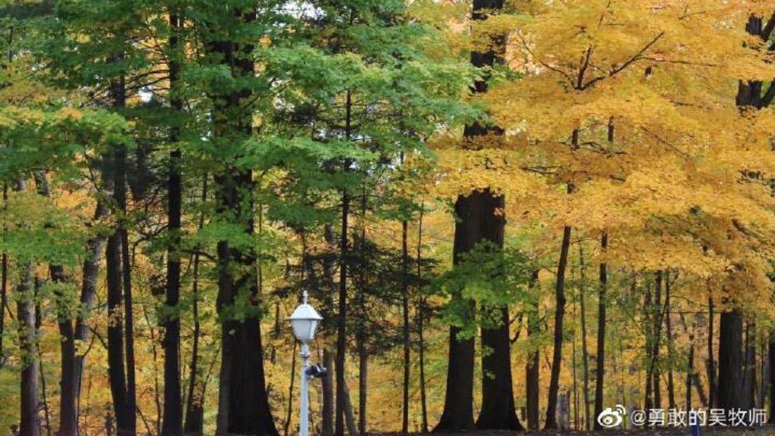 日本女乒主帅说要在世乒赛击败中国
