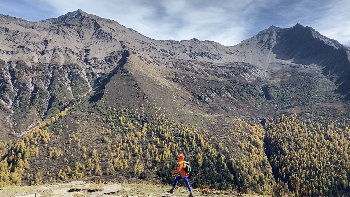 代涨快手网永久网站：自媒体吸粉实战技巧零基础快速涨粉策略_免费快手赞自助下单平台网站